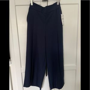 Zara Wide Leg Cropped Pants in Navy/XS